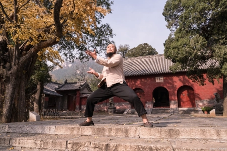 河南5日游跟团多少钱 少林寺 龙门石窟 白马寺 云台山 清明上河园（少林寺,开封,云台山,龙门石窟旅游顺序）